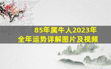 85年属牛人2023年全年运势详解图片及视频