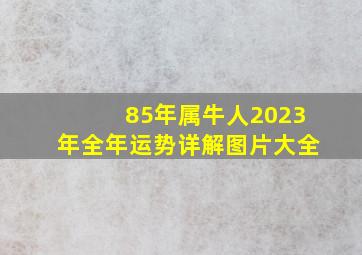 85年属牛人2023年全年运势详解图片大全