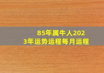 85年属牛人2023年运势运程每月运程