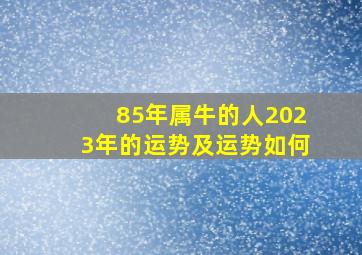 85年属牛的人2023年的运势及运势如何