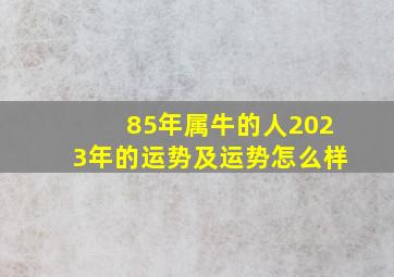 85年属牛的人2023年的运势及运势怎么样