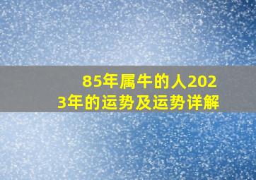 85年属牛的人2023年的运势及运势详解