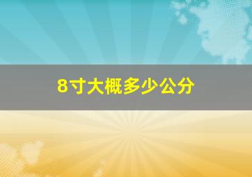 8寸大概多少公分