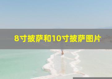 8寸披萨和10寸披萨图片