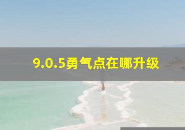 9.0.5勇气点在哪升级