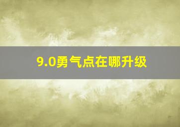 9.0勇气点在哪升级