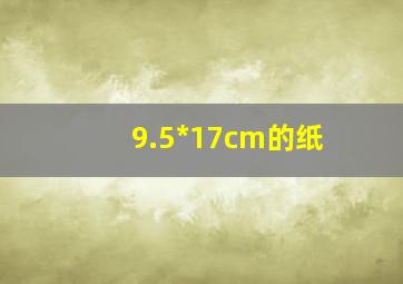 9.5*17cm的纸