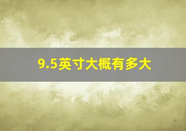 9.5英寸大概有多大