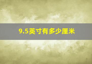 9.5英寸有多少厘米