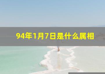 94年1月7日是什么属相