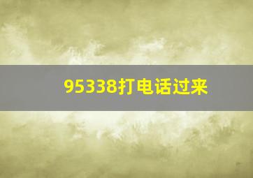 95338打电话过来