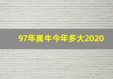 97年属牛今年多大2020