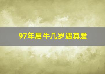 97年属牛几岁遇真爱