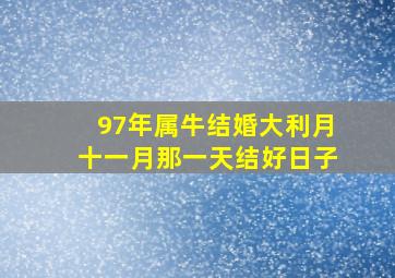 97年属牛结婚大利月十一月那一天结好日子