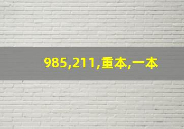 985,211,重本,一本