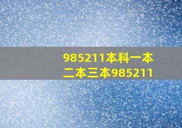 985211本科一本二本三本985211