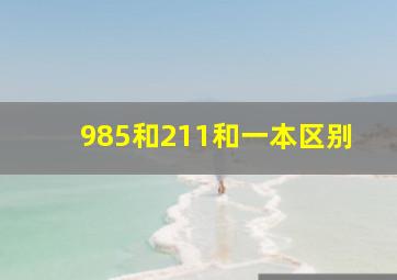 985和211和一本区别