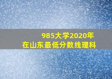 985大学2020年在山东最低分数线理科