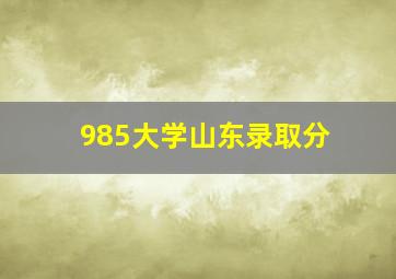 985大学山东录取分