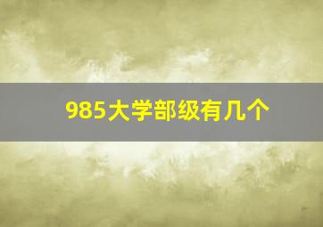 985大学部级有几个