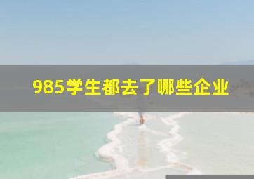 985学生都去了哪些企业