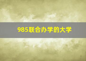 985联合办学的大学