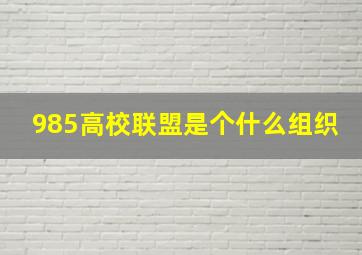 985高校联盟是个什么组织