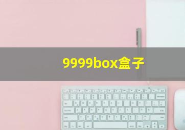 9999box盒子