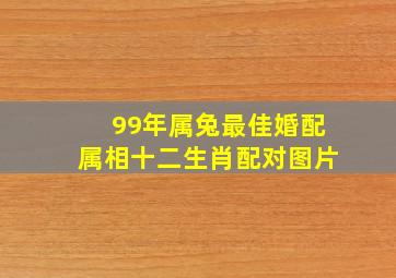 99年属兔最佳婚配属相十二生肖配对图片