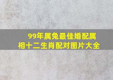 99年属兔最佳婚配属相十二生肖配对图片大全