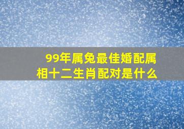 99年属兔最佳婚配属相十二生肖配对是什么