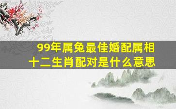 99年属兔最佳婚配属相十二生肖配对是什么意思