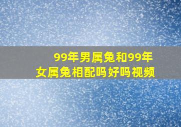 99年男属兔和99年女属兔相配吗好吗视频