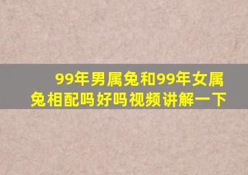 99年男属兔和99年女属兔相配吗好吗视频讲解一下