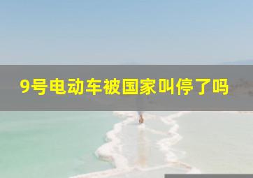 9号电动车被国家叫停了吗