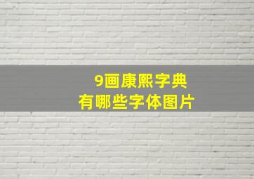 9画康熙字典有哪些字体图片