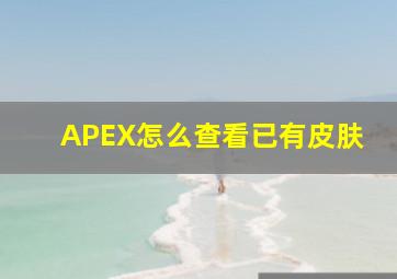 APEX怎么查看已有皮肤