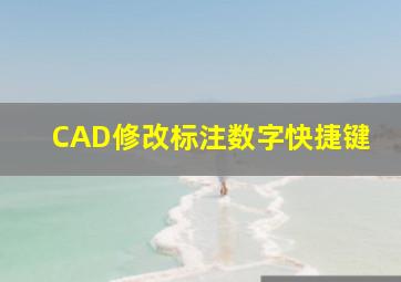 CAD修改标注数字快捷键