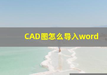 CAD图怎么导入word