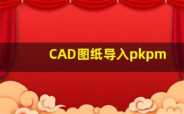 CAD图纸导入pkpm