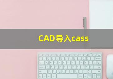 CAD导入cass