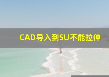 CAD导入到SU不能拉伸