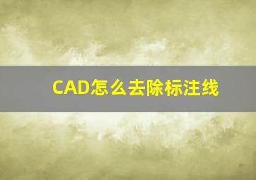 CAD怎么去除标注线