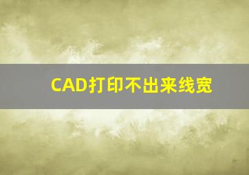 CAD打印不出来线宽