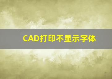 CAD打印不显示字体