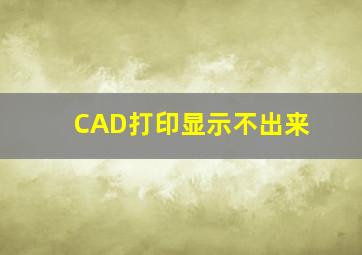 CAD打印显示不出来