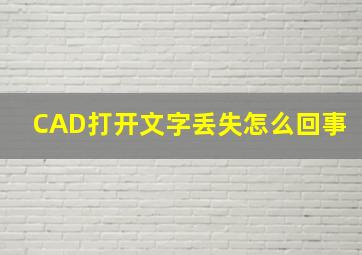 CAD打开文字丢失怎么回事