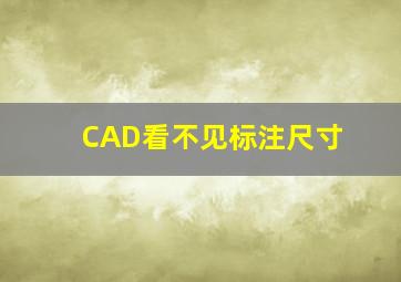 CAD看不见标注尺寸