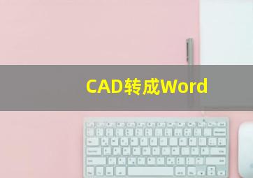 CAD转成Word