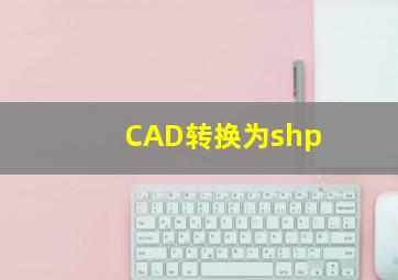 CAD转换为shp